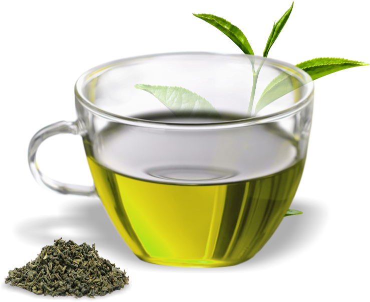 Green Tea Cupand Leaves.png PNG