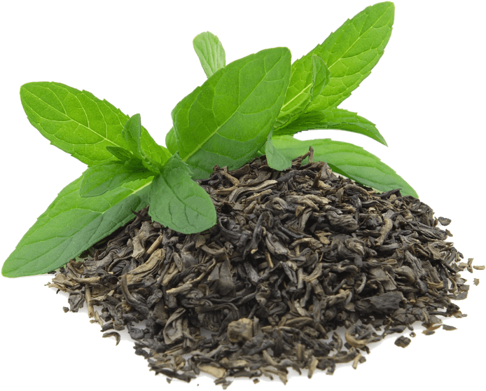 Green Tea Leavesand Mint.png PNG