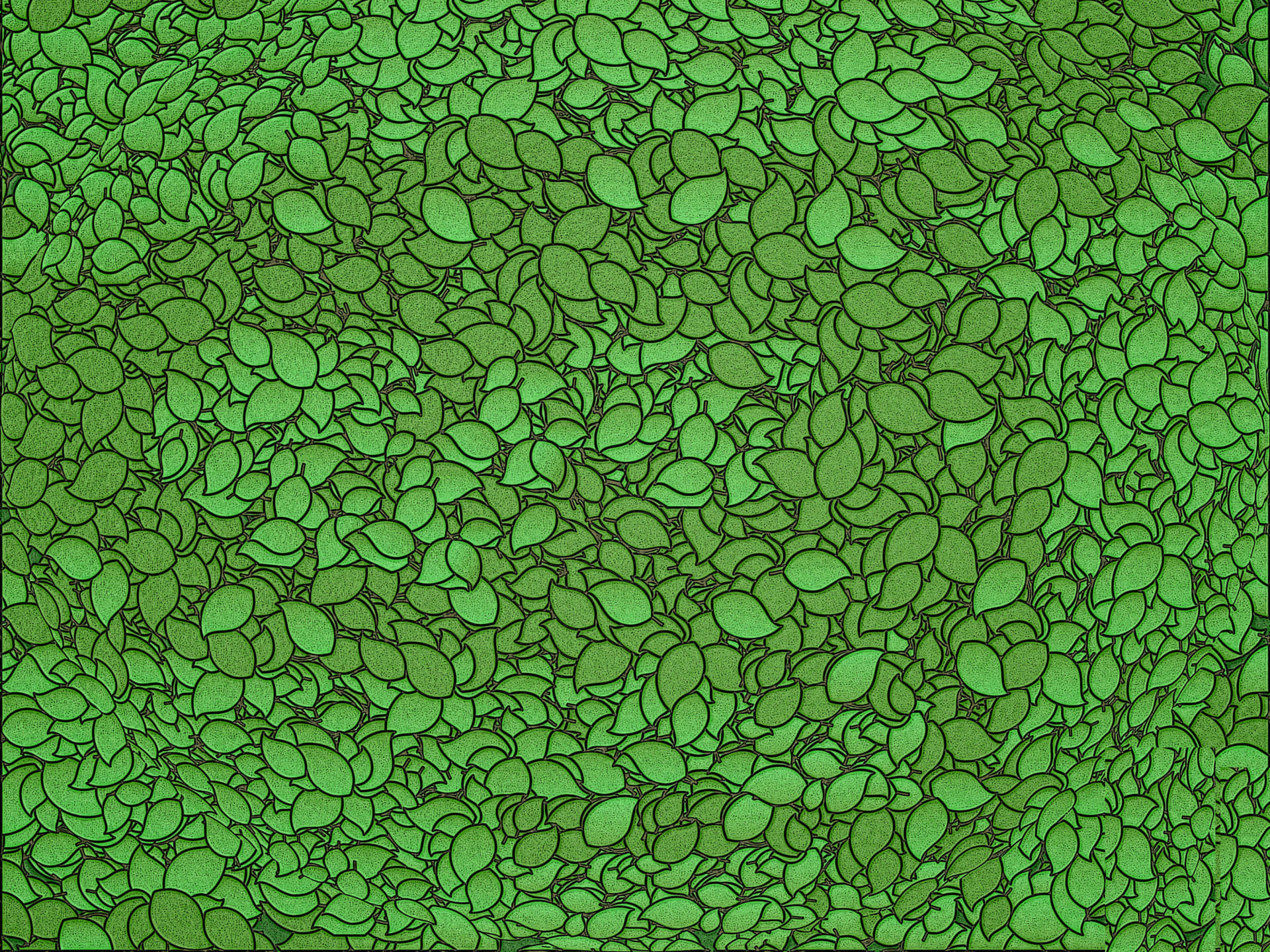 Green Wall Texture Background Wallpaper