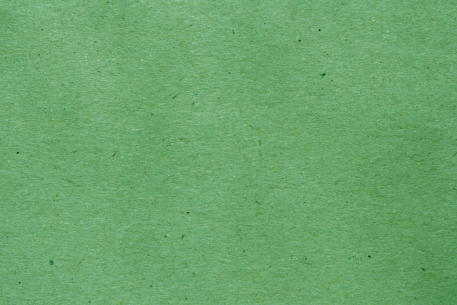 Fondode Pantalla De Textura Verde De 3888 X 2592 Fondo de pantalla