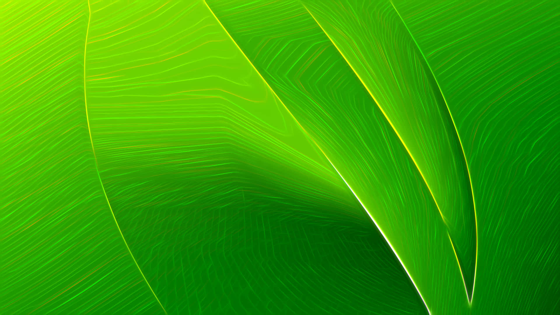 Green Texture Abstract Background Wallpaper
