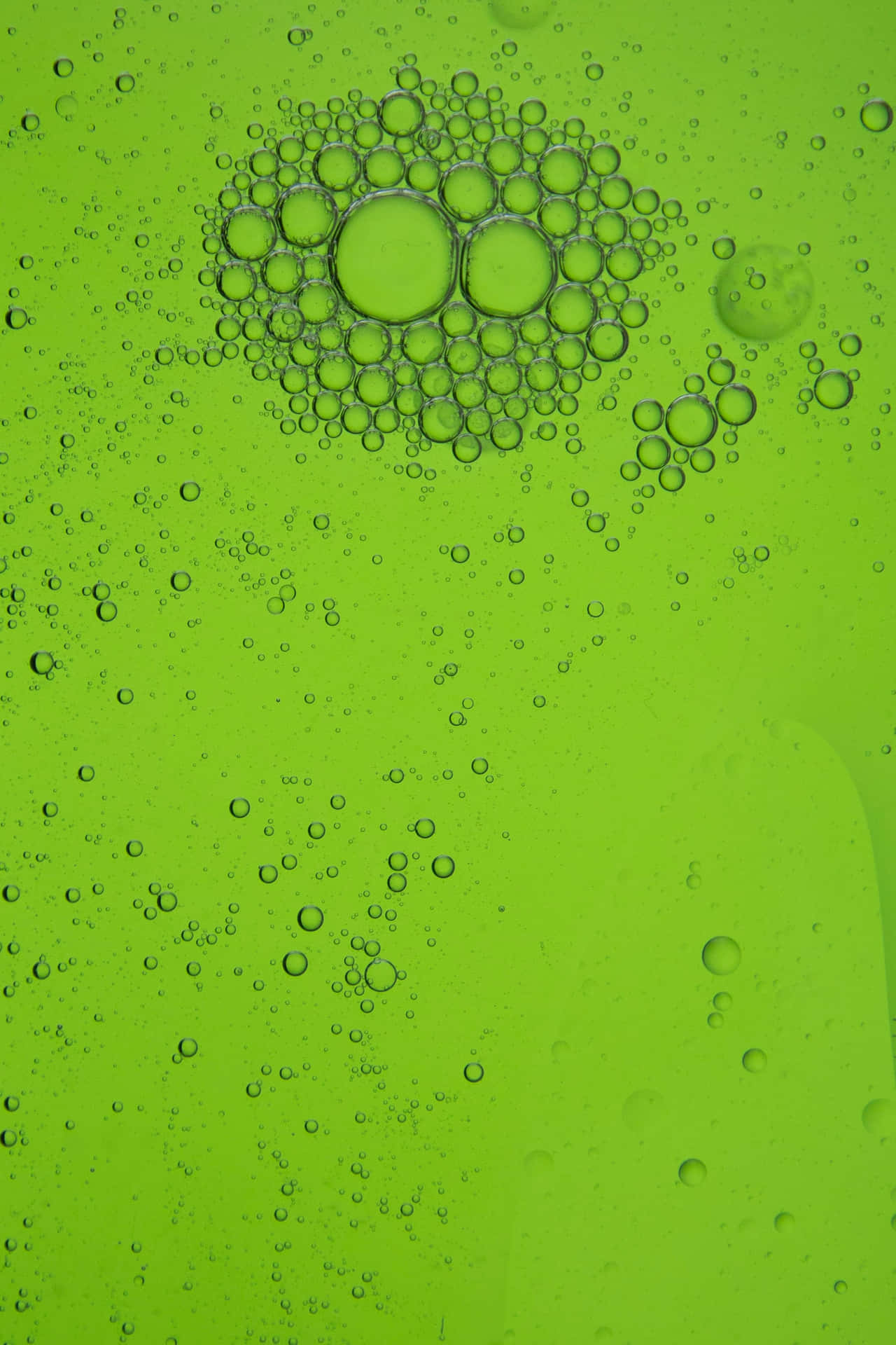 Cute Green Bubbles Texture Background