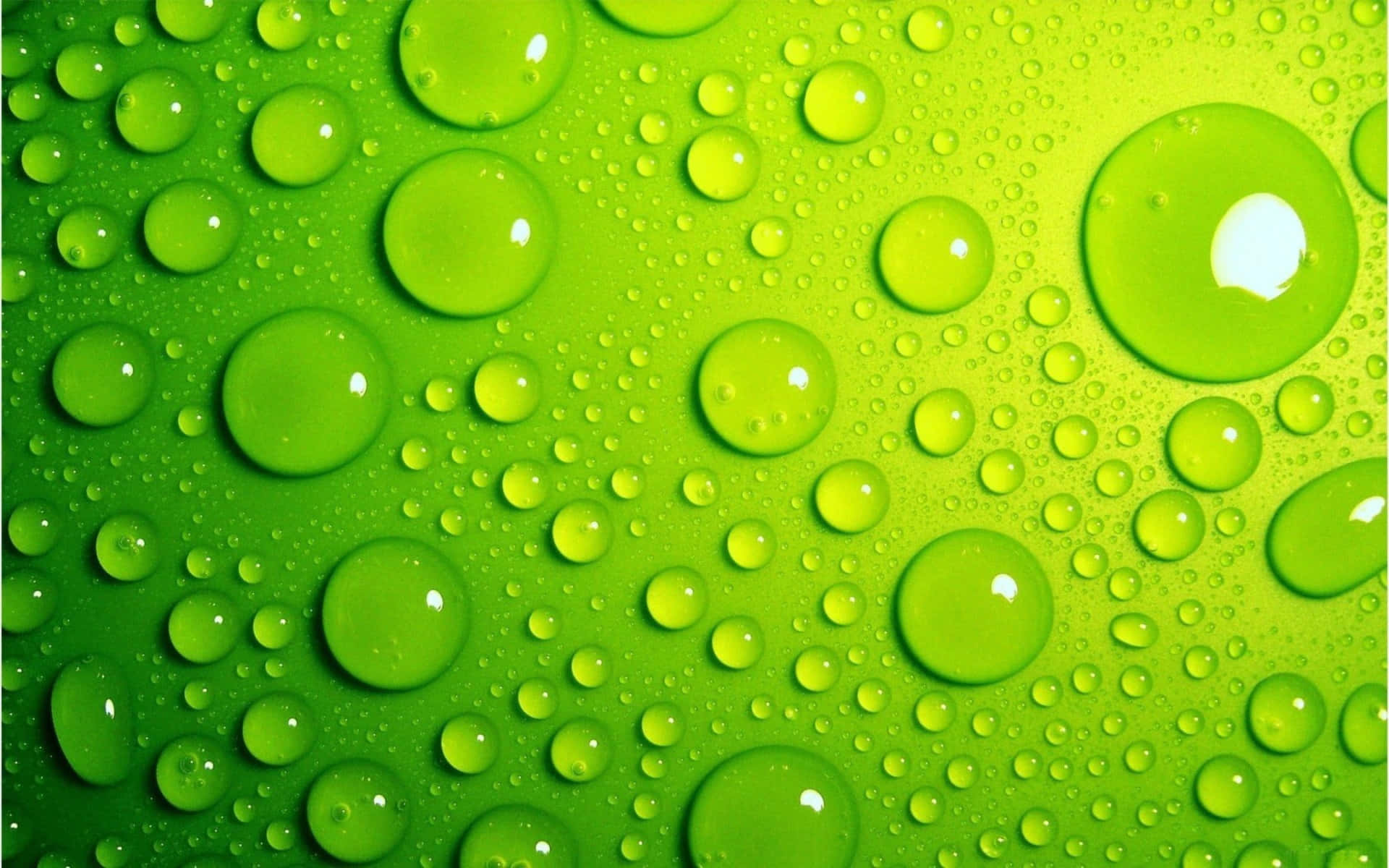 Wonderful Green Water Droplets Texture Background