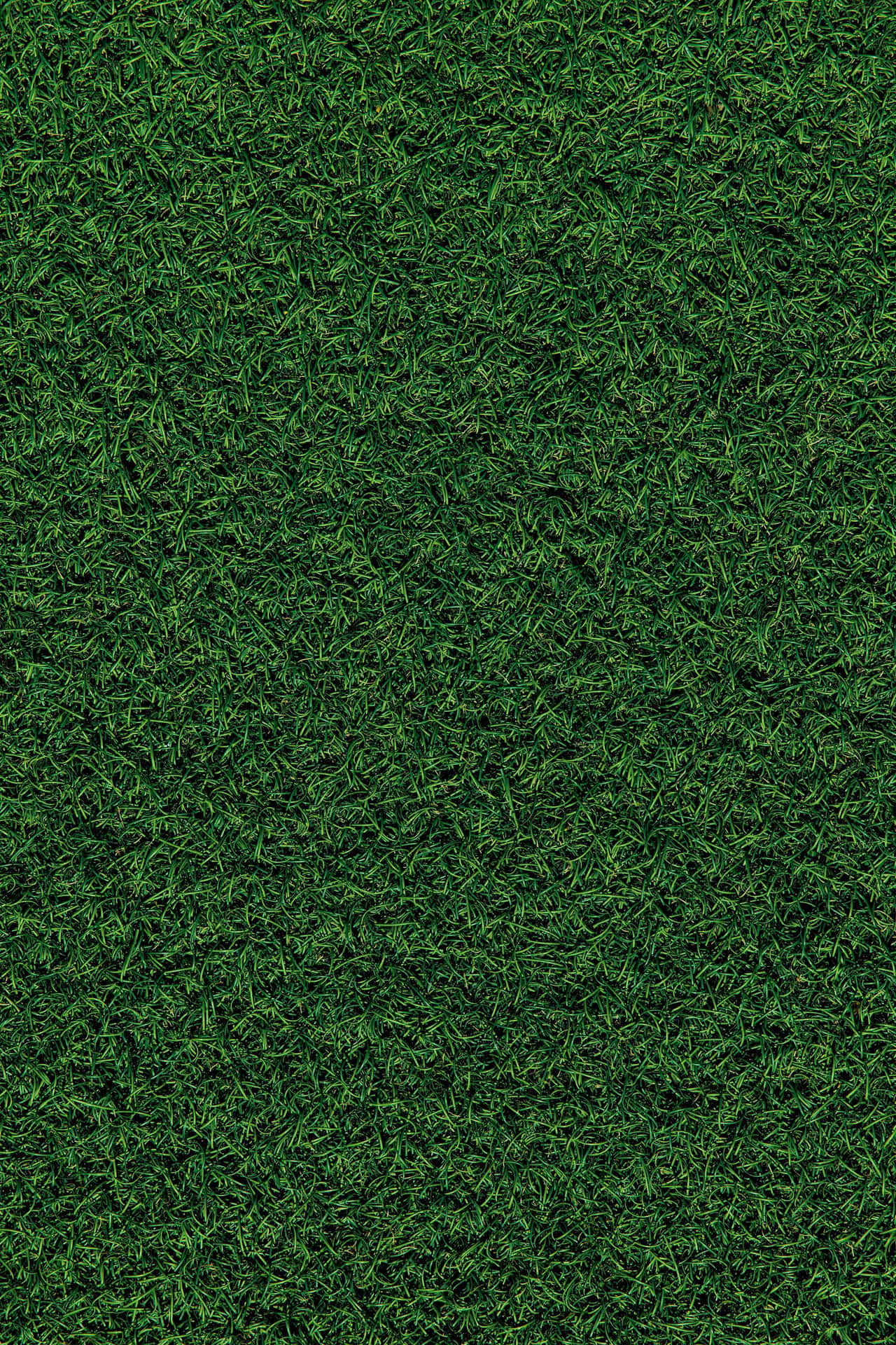 Plain Dark Green Artificial Turf Texture Background