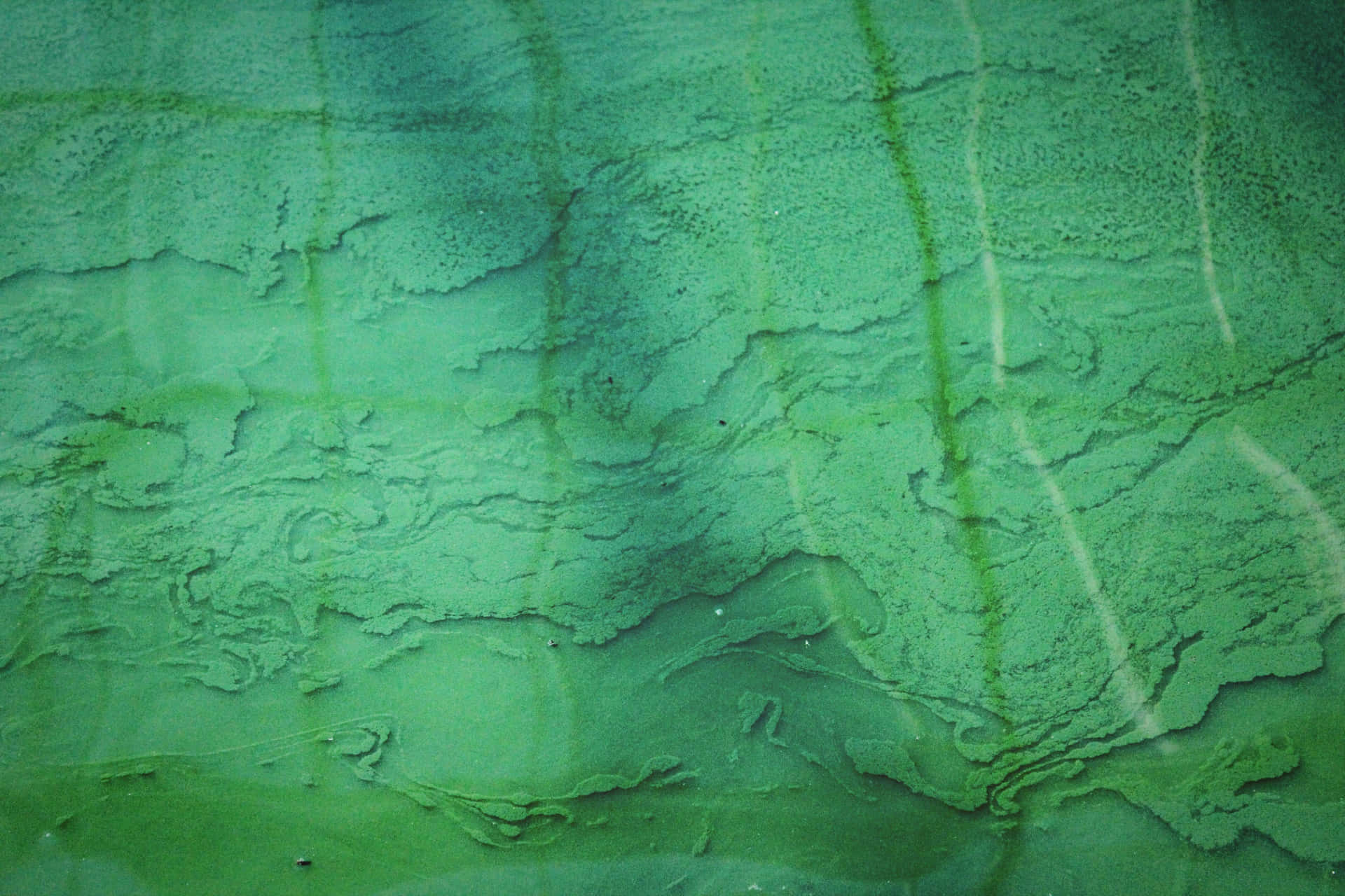 Elegantefondo De Textura Líquida Verde De Espirulina.