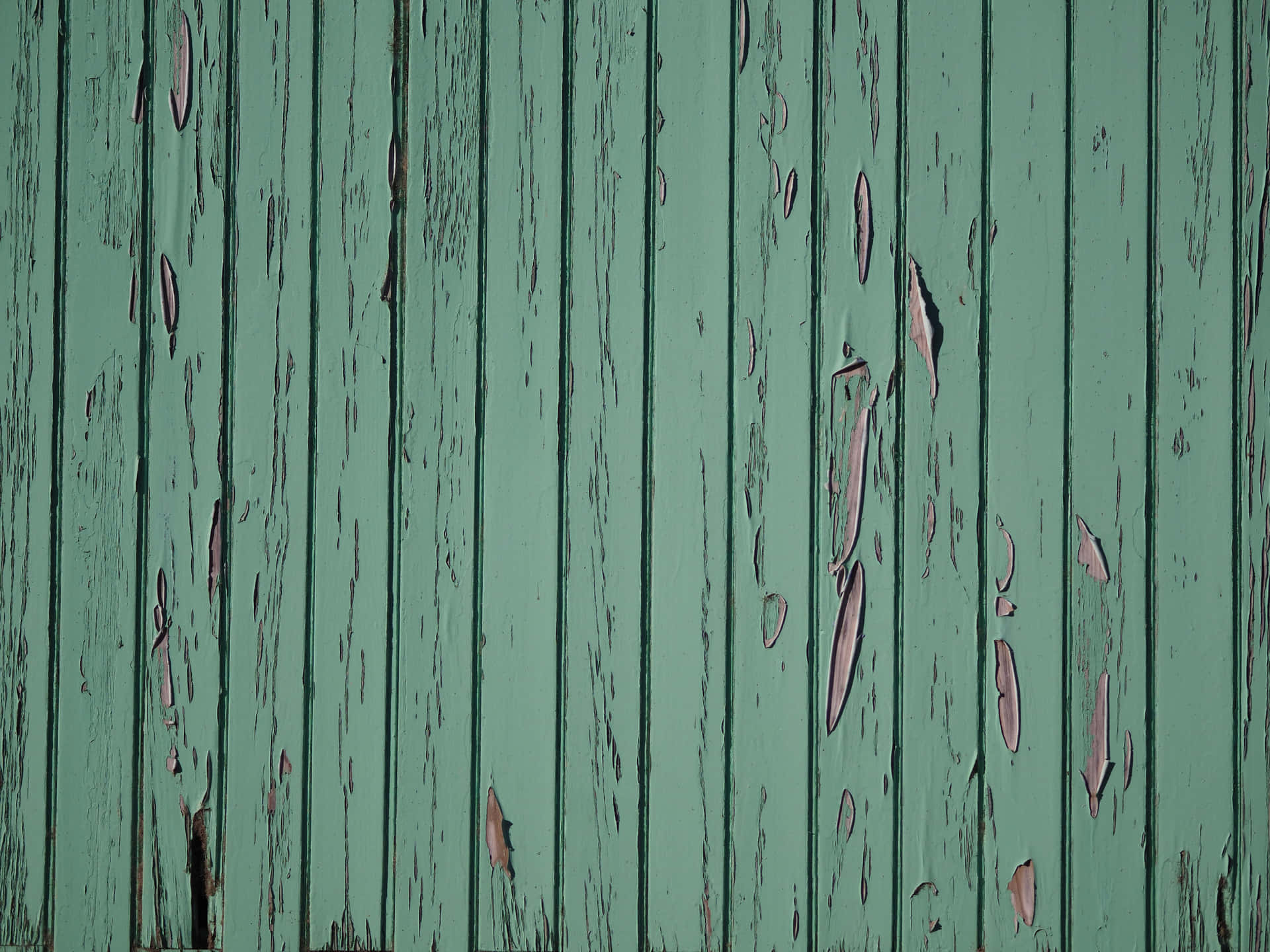 Old Green Painted Wood Texture Panels Background