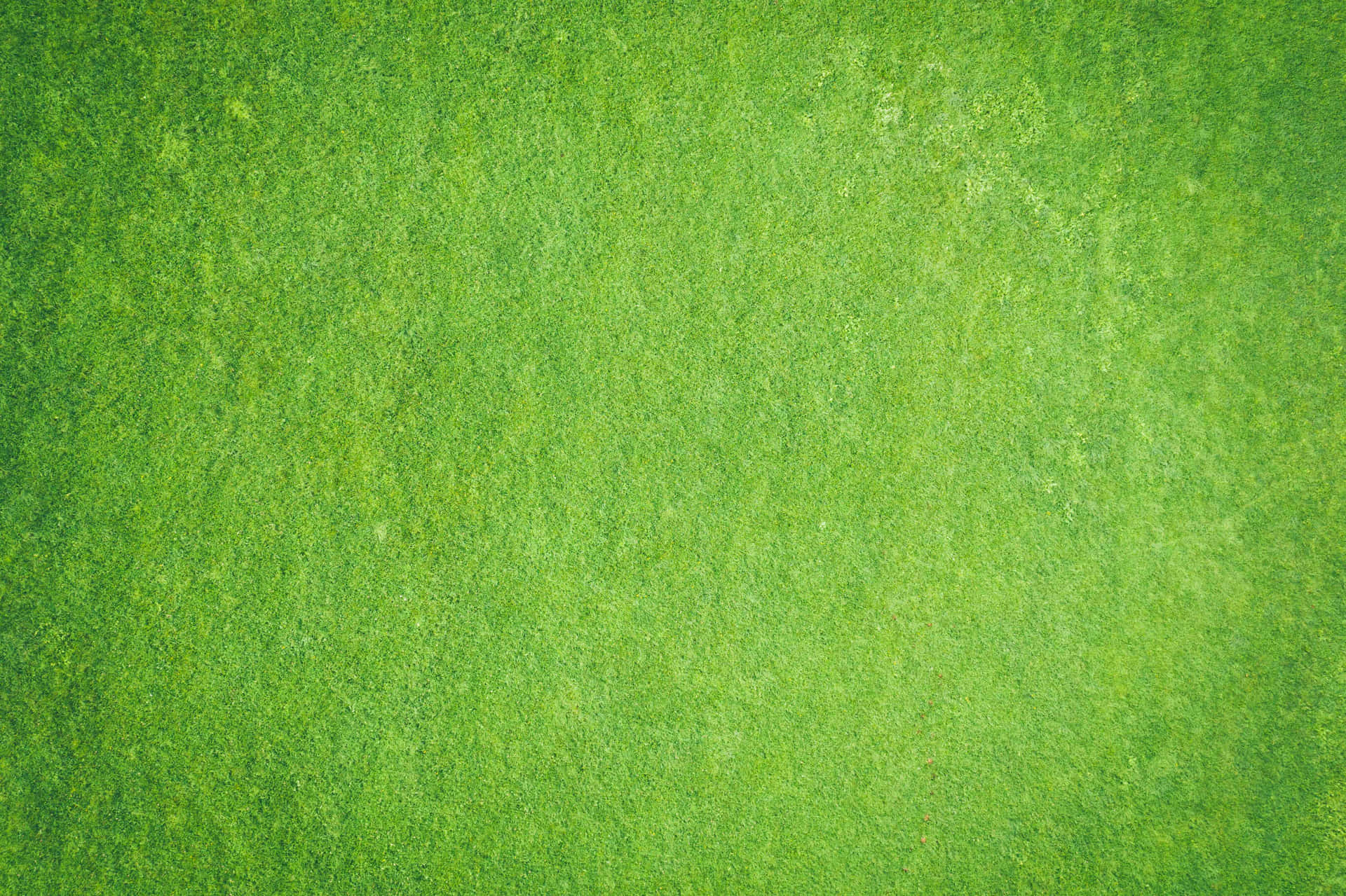 Sfondocon Texture Di Erba Verde Naturale