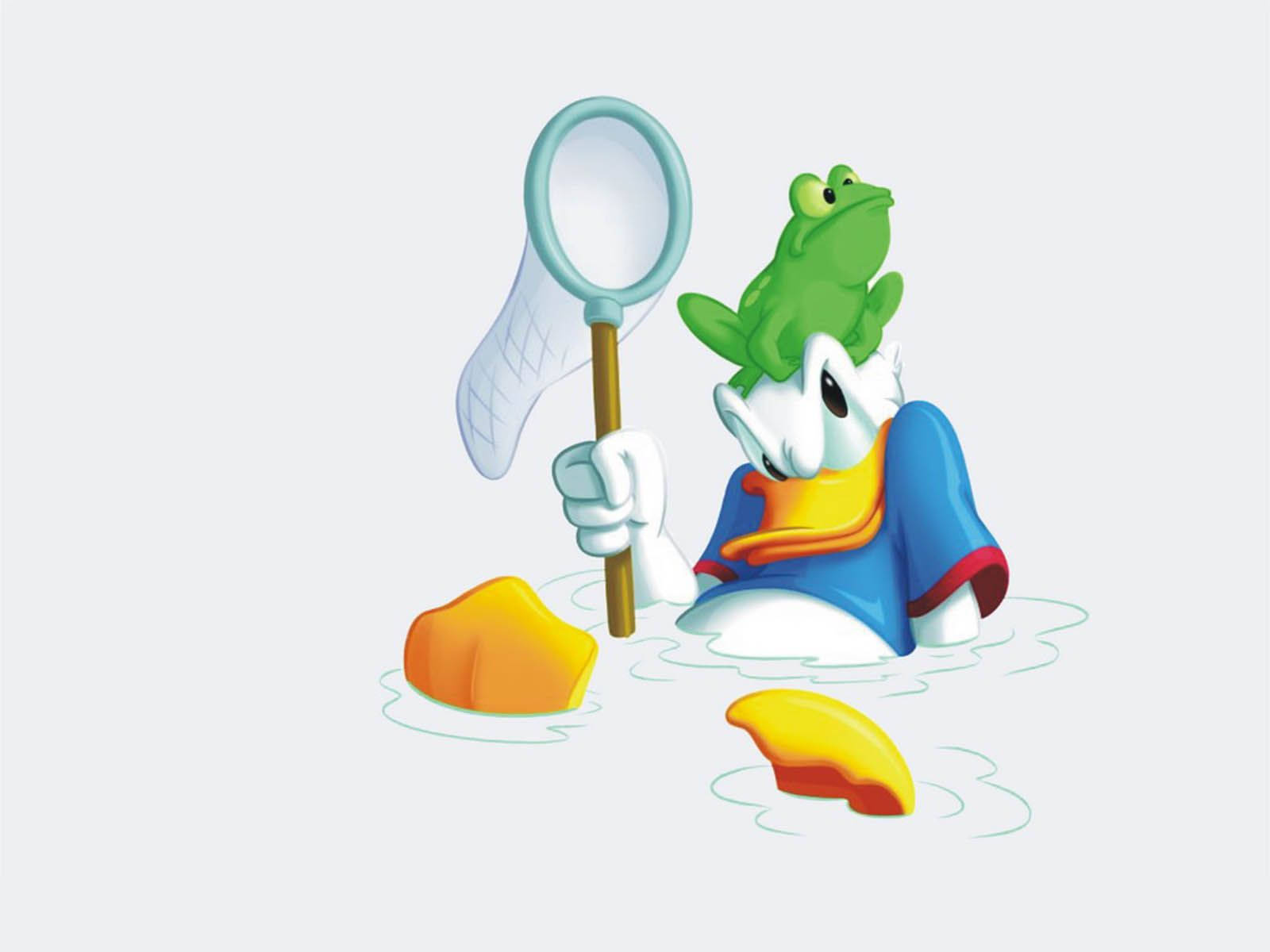 Green Toad Over Soaked Donald Duck Wallpaper