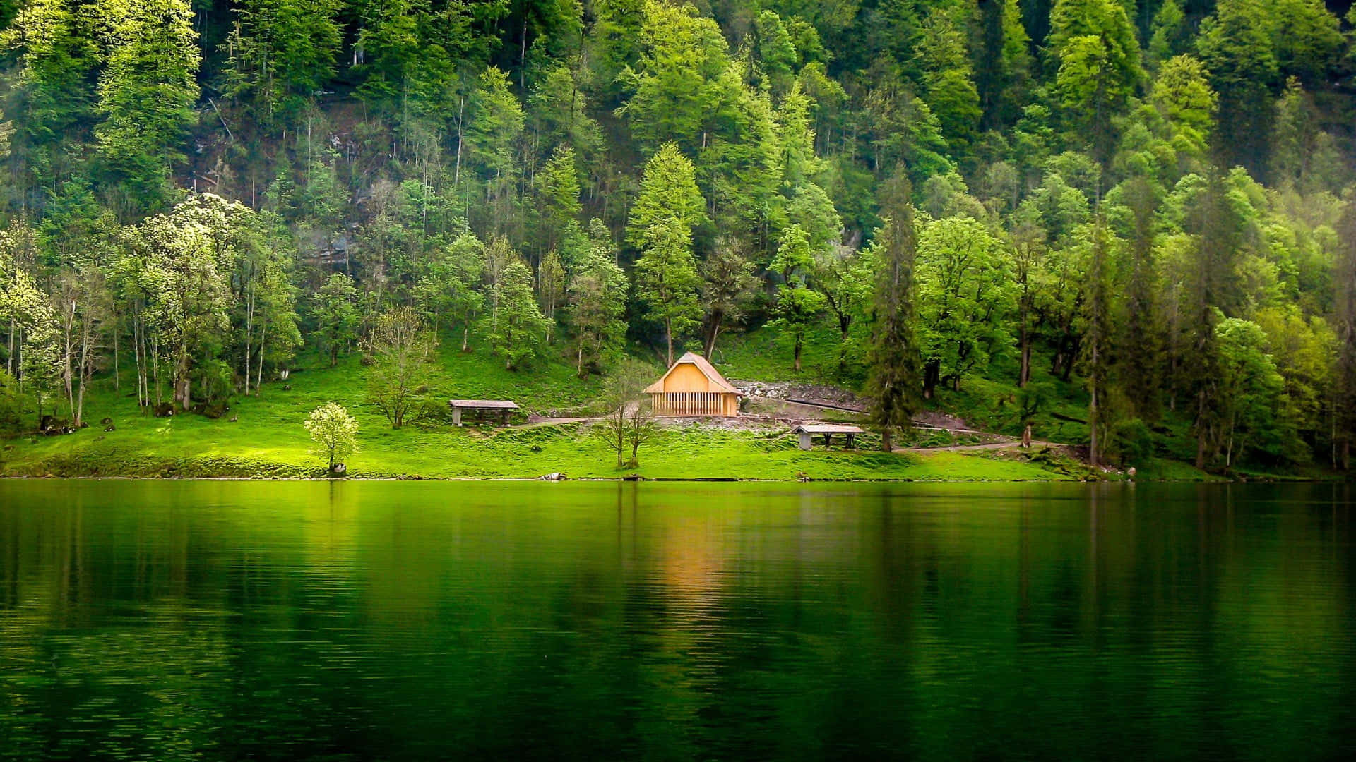 Einkleines Haus An Einem See, Umgeben Von Grünen Bäumen.