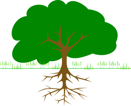 Green Tree Black Background PNG