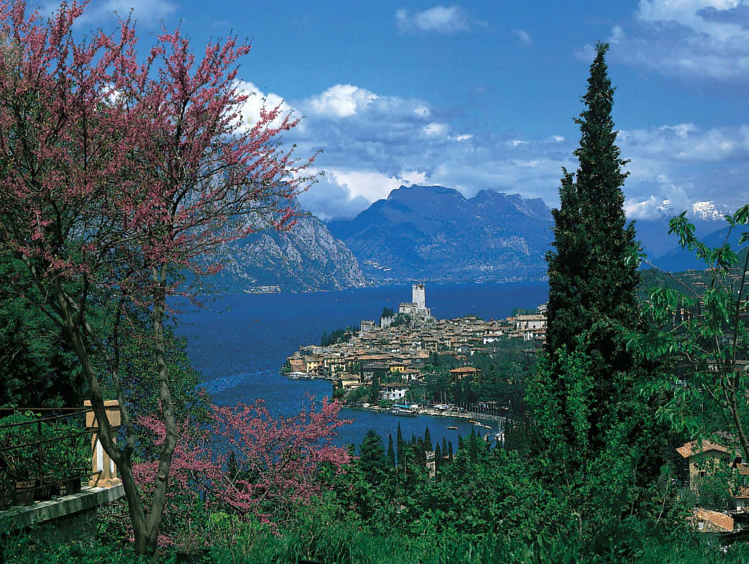Árvoreverde No Lago Di Garda. Papel de Parede
