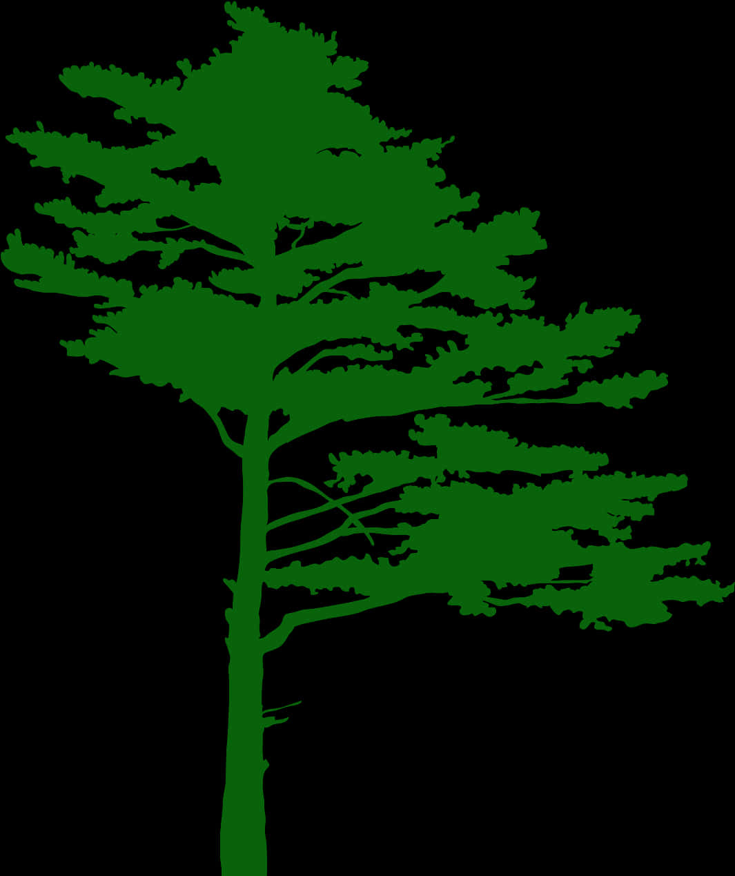 Green Tree Silhouette PNG