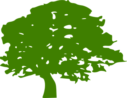 Green Tree Silhouette PNG