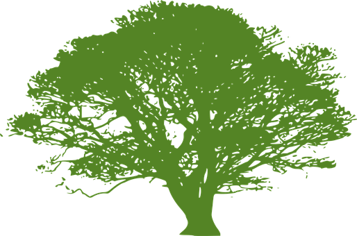 Green Tree Silhouetteon Black Background PNG