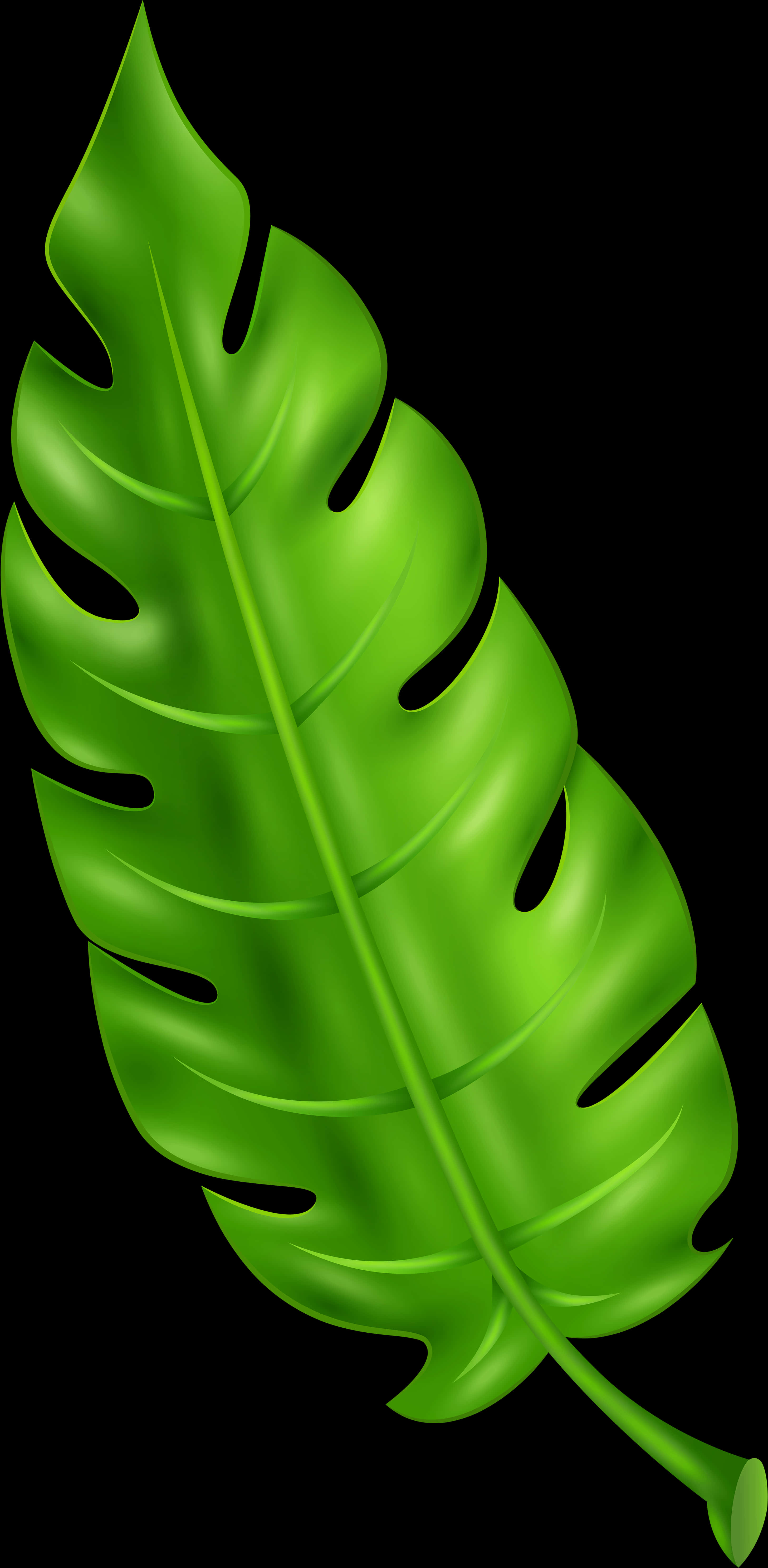Green Tropical Leaf Clipart PNG