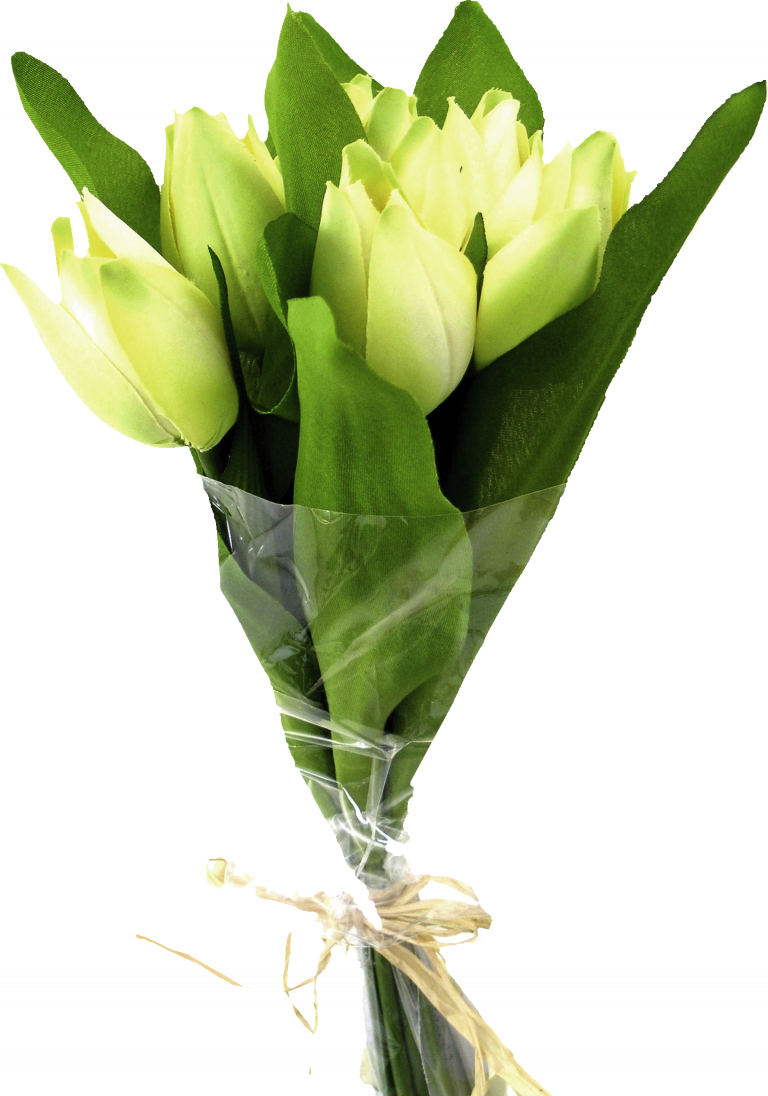 Green Tulip Bouquet PNG
