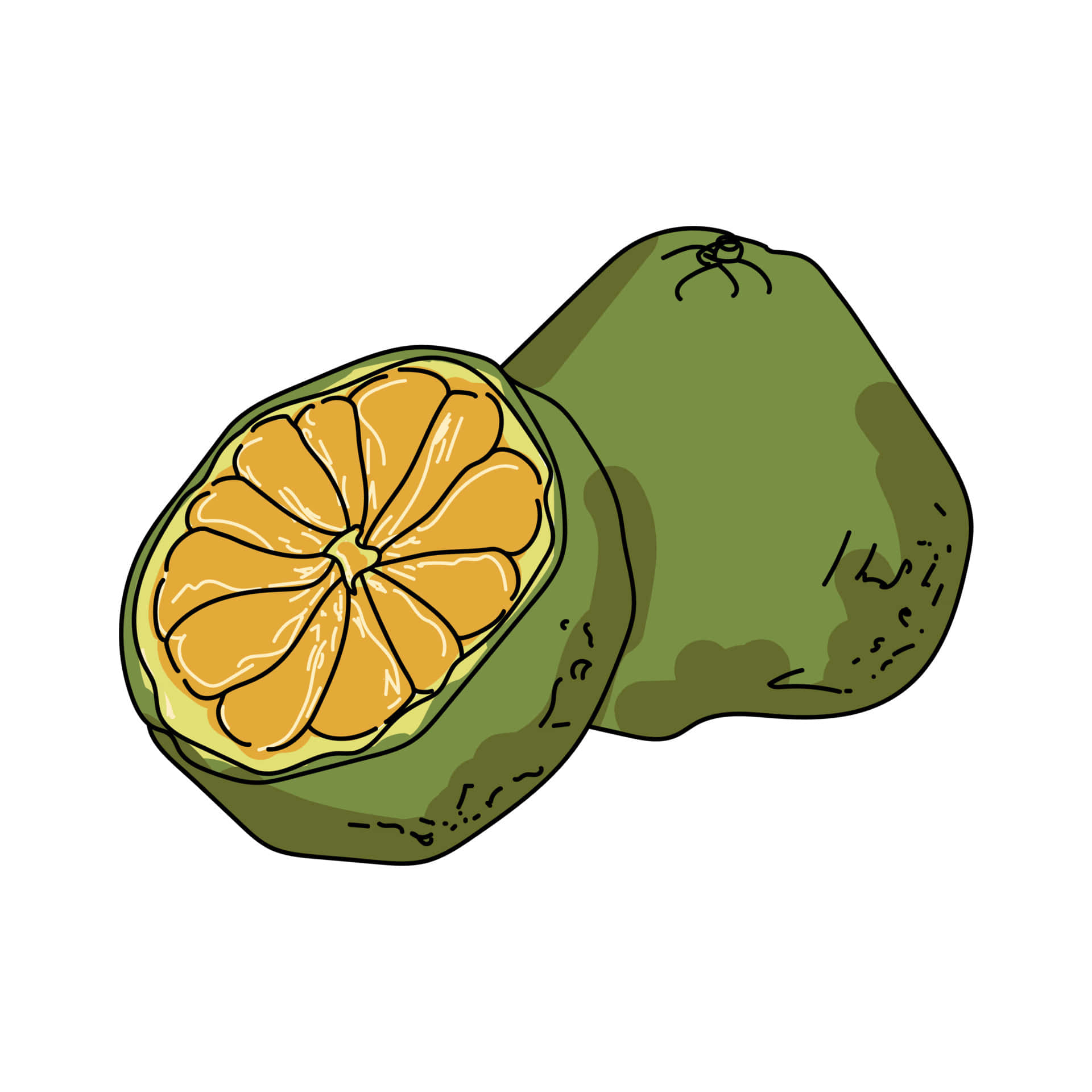 Grönugli Citrusfrukt Digital Konst. Wallpaper