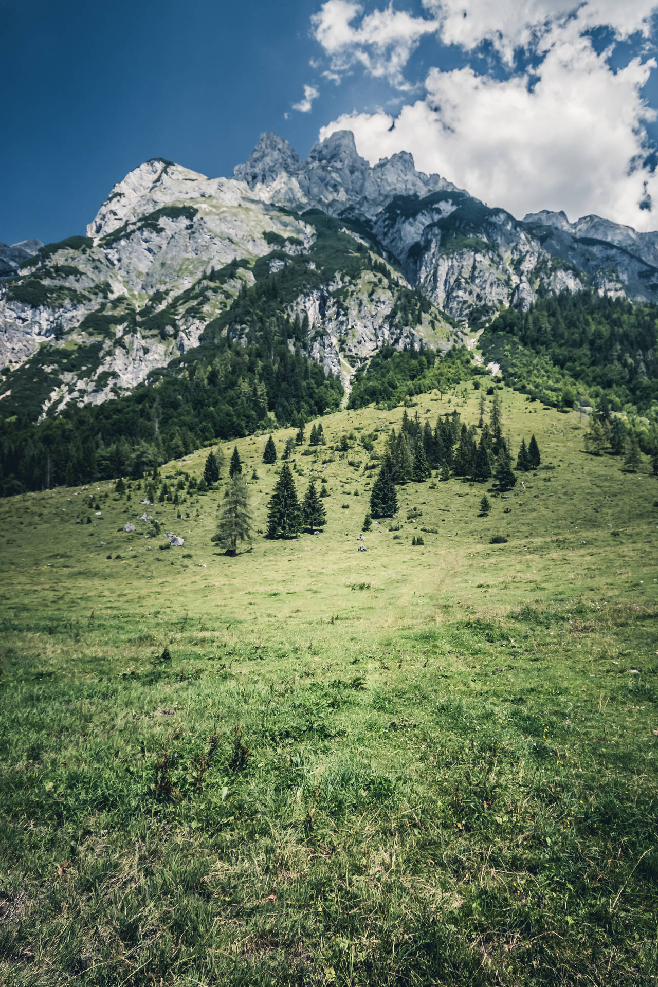 Valle Verde In Austria Sfondo