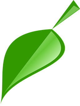 Green Vector Leaf Illustration PNG