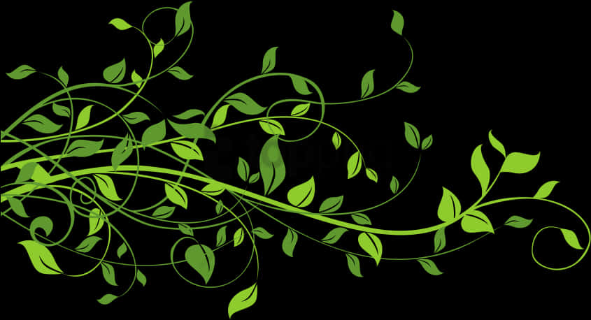 Green Vine Flourish Black Background PNG