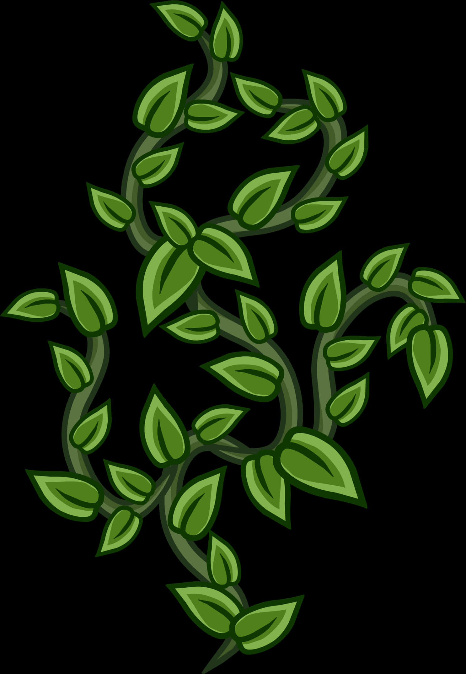 Green Vine Illustration PNG