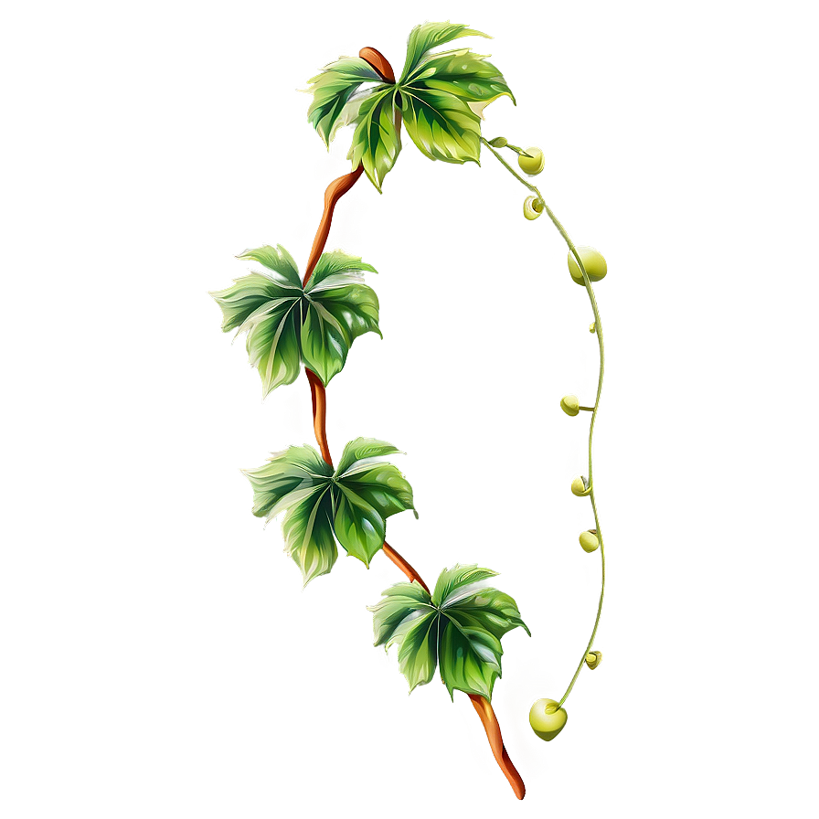 Green Vine Leavesand Tendrils PNG