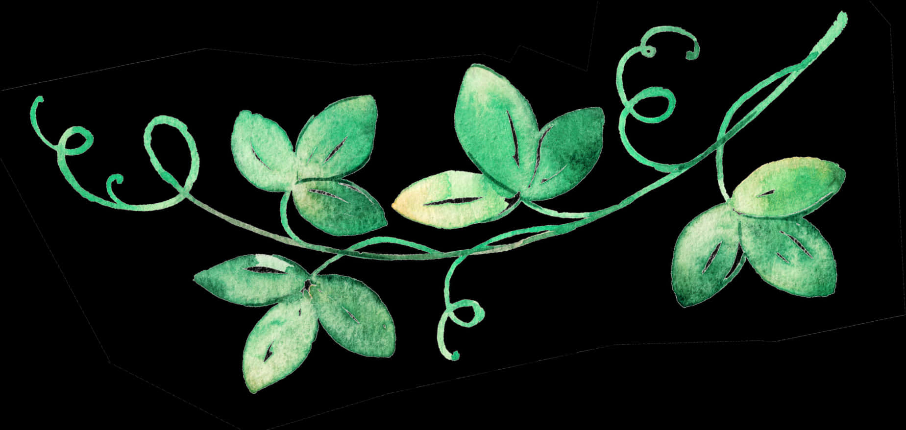 Green Vine Watercolor Divider PNG