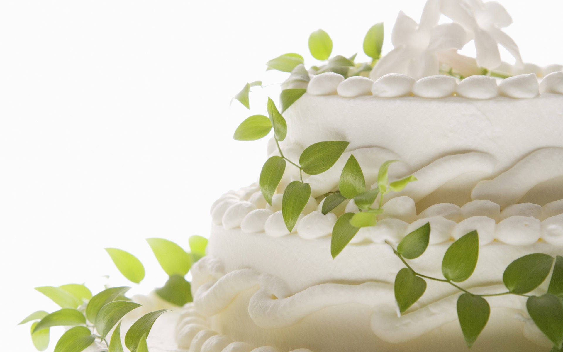 Green Vine White Wedding Cake Wallpaper
