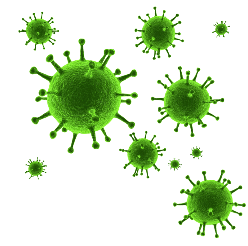 Green Virus Particles3 D Illustration PNG