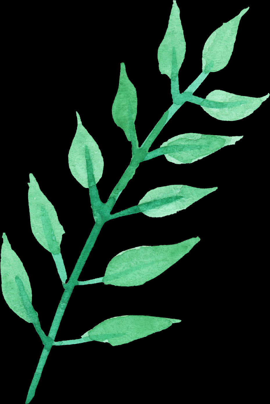 Green Watercolor Plant Illustration PNG