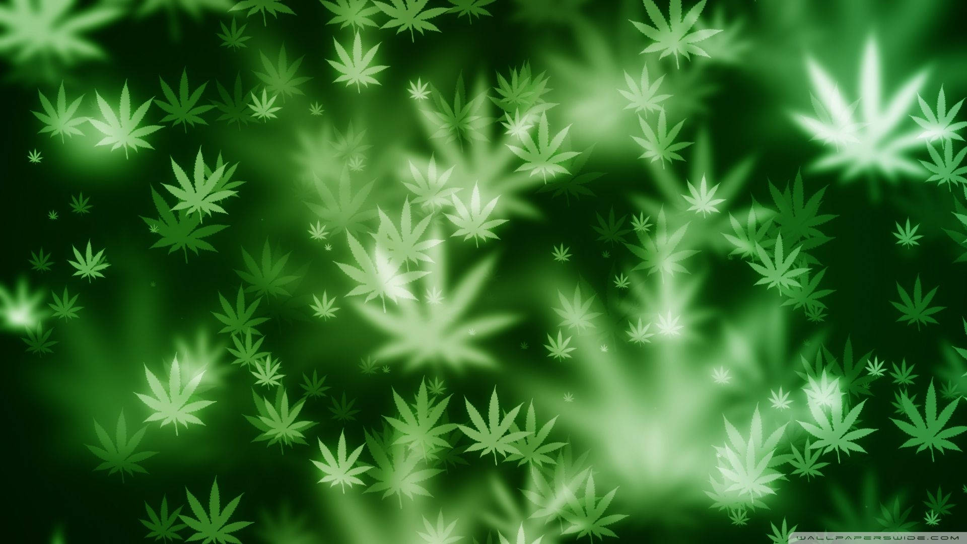 Caption: Vibrant Green Cannabis Leaf Wallpaper