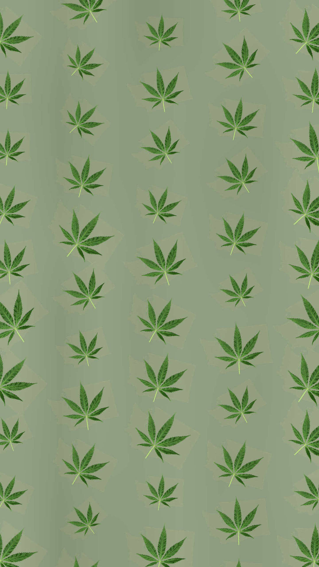 Green Weed Pattern For Iphone Screens Wallpaper