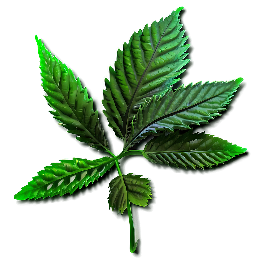 Green Weed Strain Png 05032024 PNG