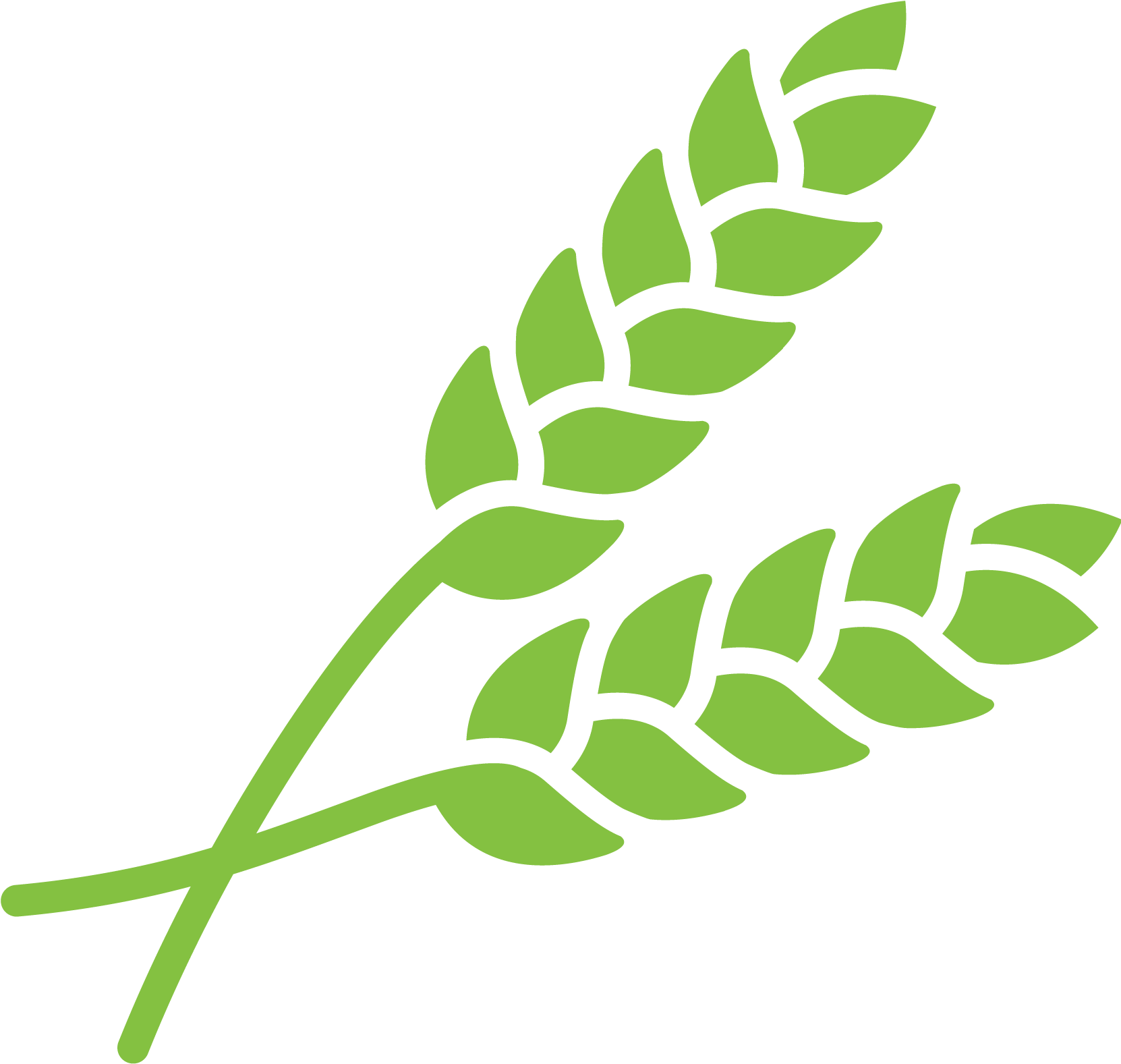 Green Wheat Icon PNG