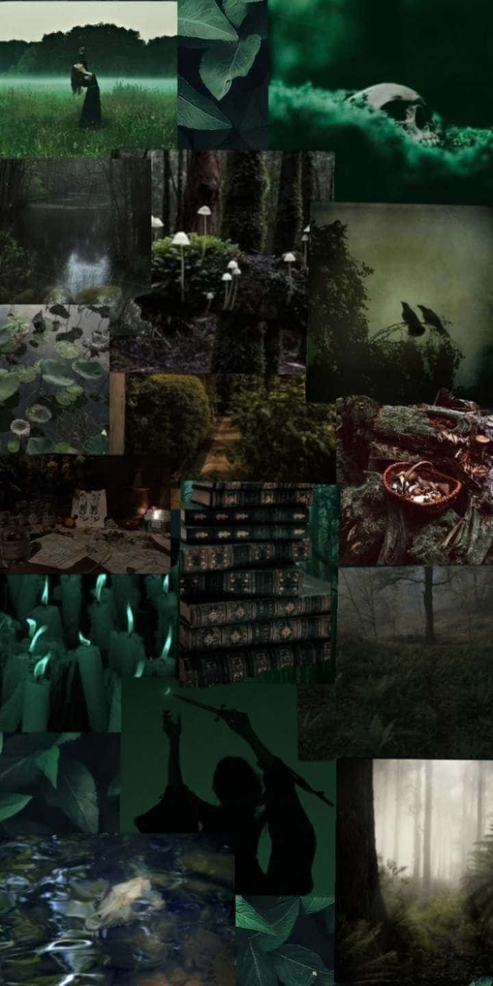 Green Witch Aesthetic Collage.jpg Wallpaper