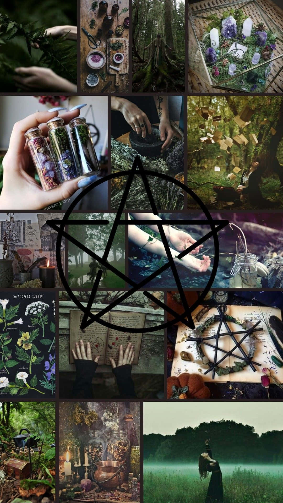 Green Witch Aesthetic Collage Wallpaper