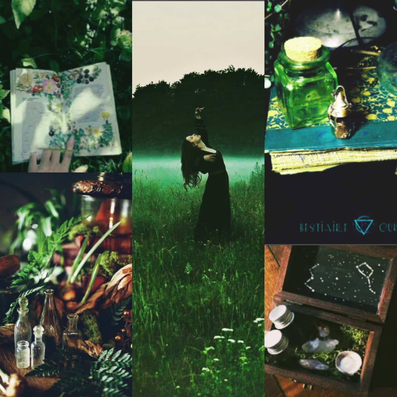 Green Witch Aesthetic Collage Wallpaper