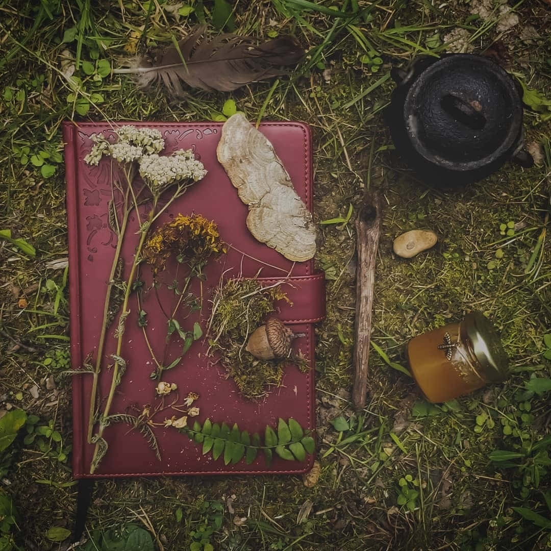 Green Witch Aesthetic Nature Altar.jpg Wallpaper
