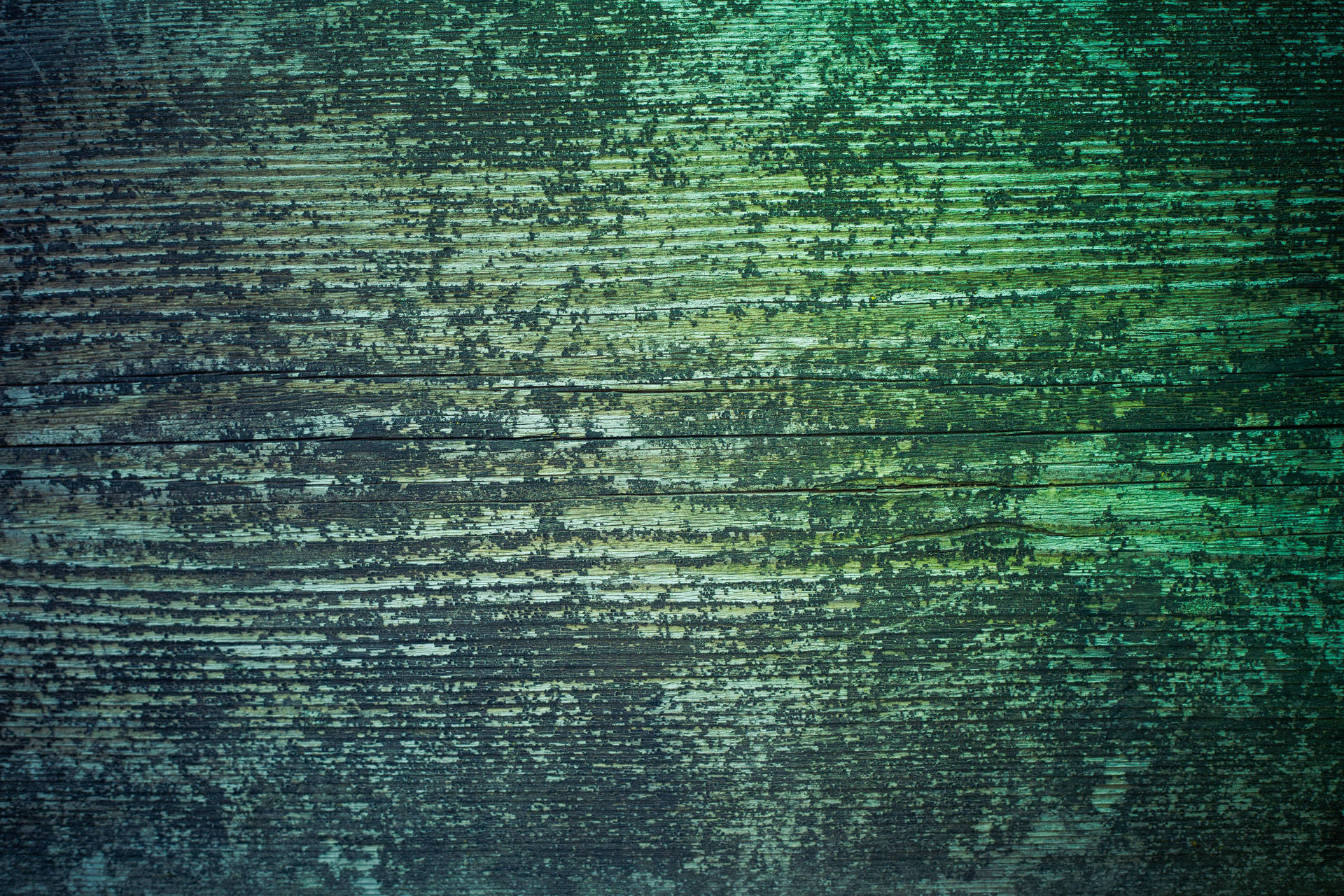 Texturagrunge De Superfície De Madeira Verde. Papel de Parede