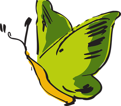 Green Yellow Butterfly Illustration PNG