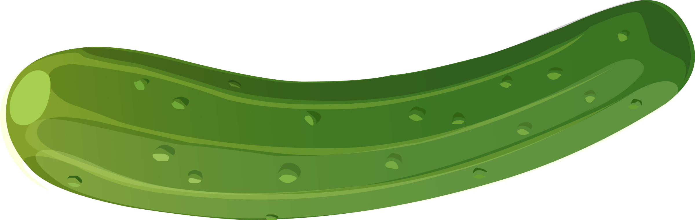 Green Zucchini Cartoon Illustration PNG