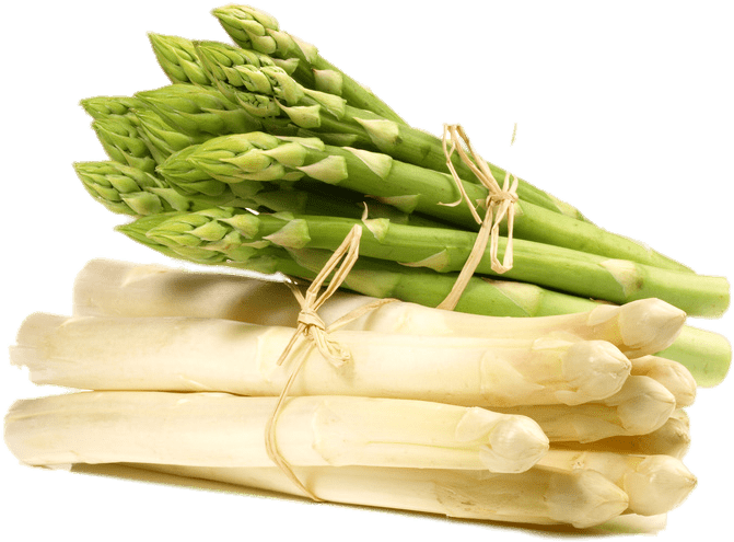 Greenand White Asparagus Bunches PNG