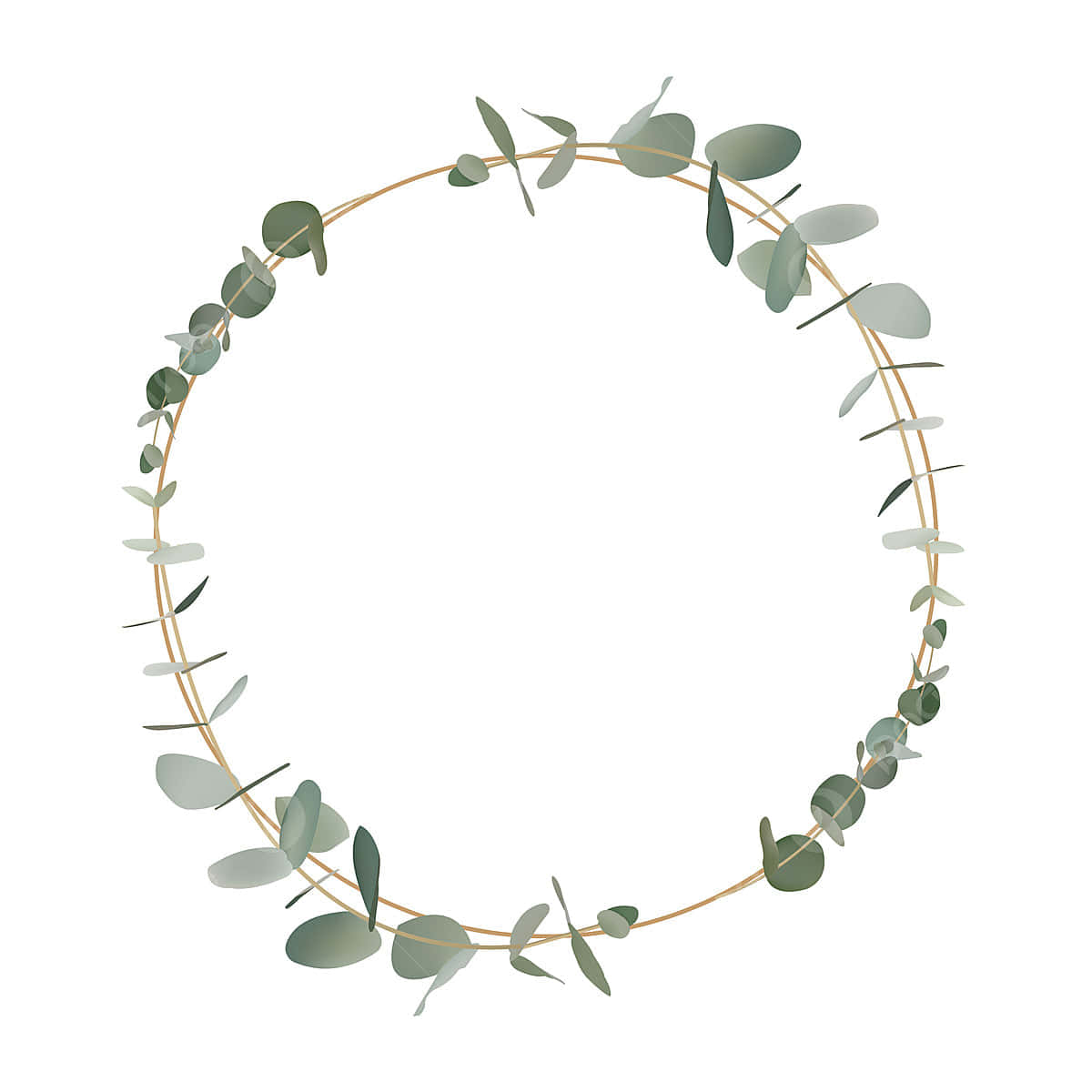 Eukalyptuskranz Mit Grünen Blättern Auf Weißem Hintergrund.