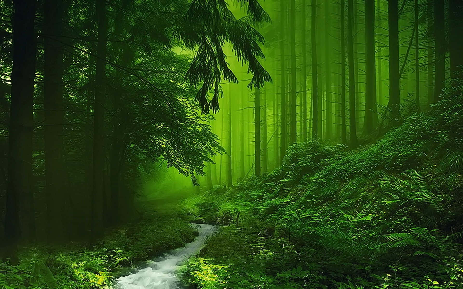 Ladskønheden Af Naturen Omslutte Dig Med En Raffineret Grøn Baggrund.