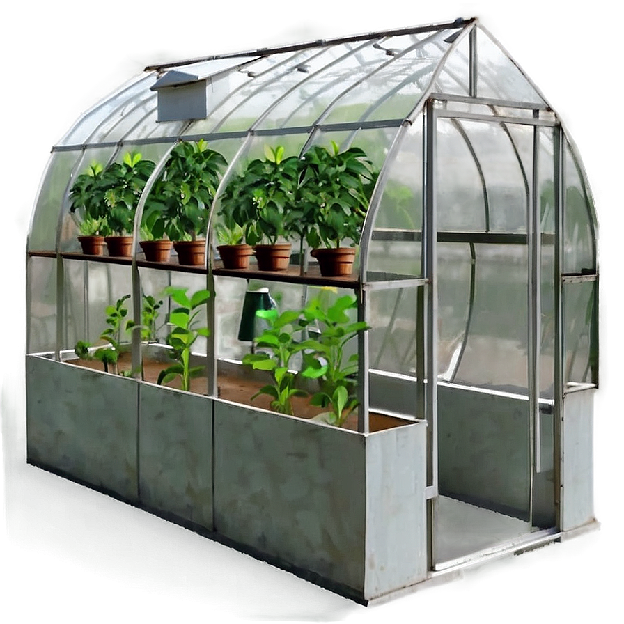 Greenhouse C PNG