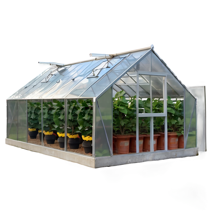 Greenhouse D PNG