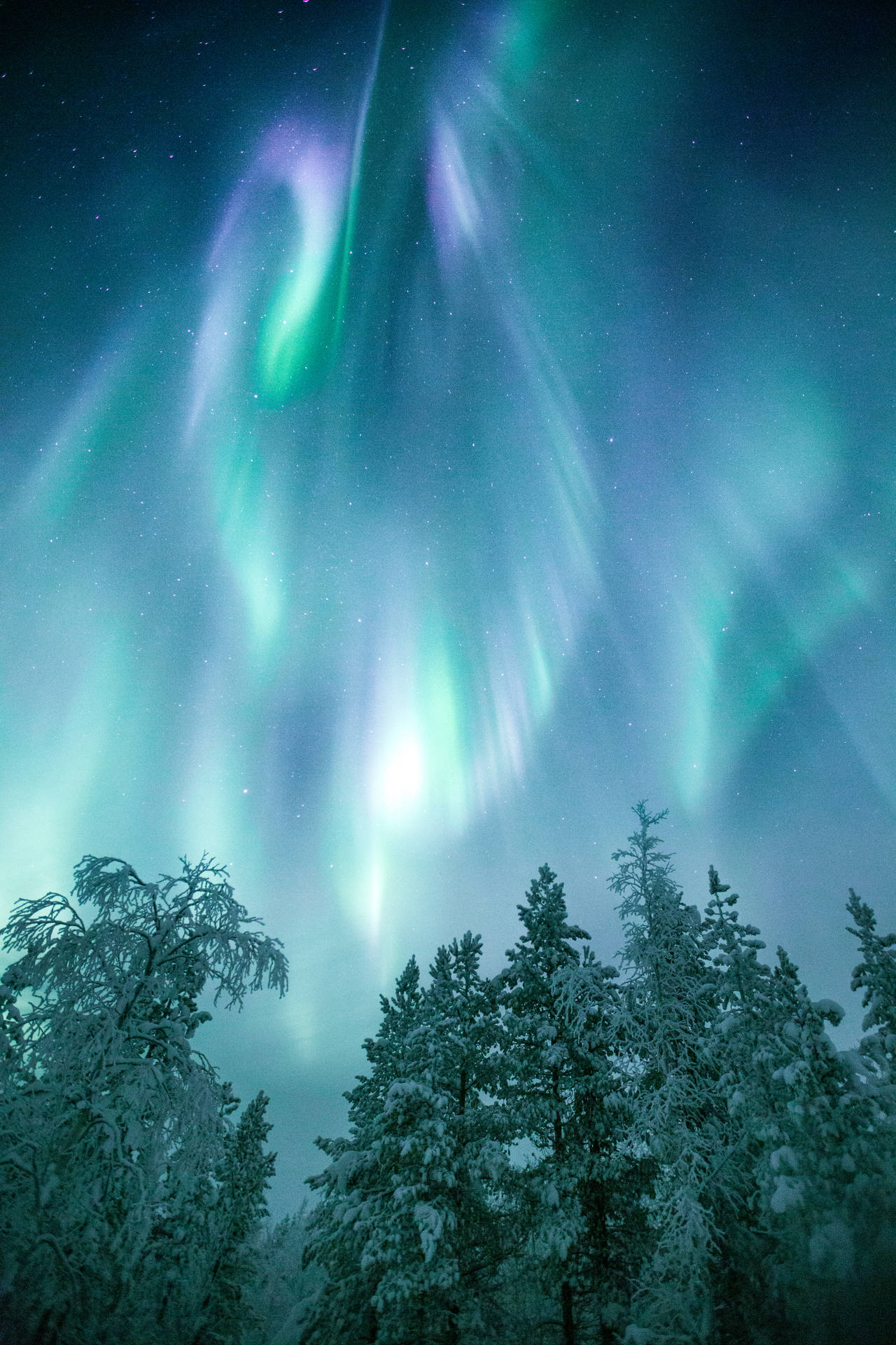 Greenish Purple Aurora Borealis Finland