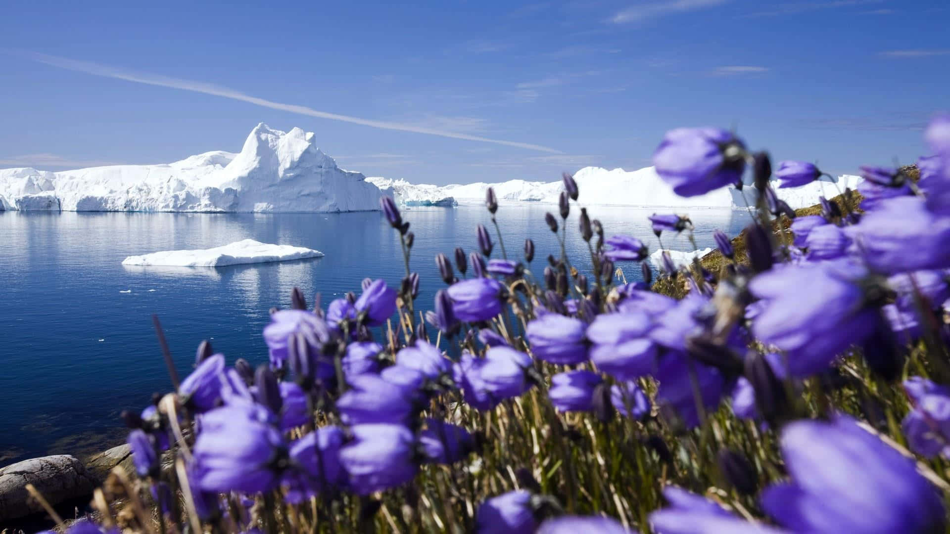 A breathtaking view of the Illulissat Icefjord in Greenland