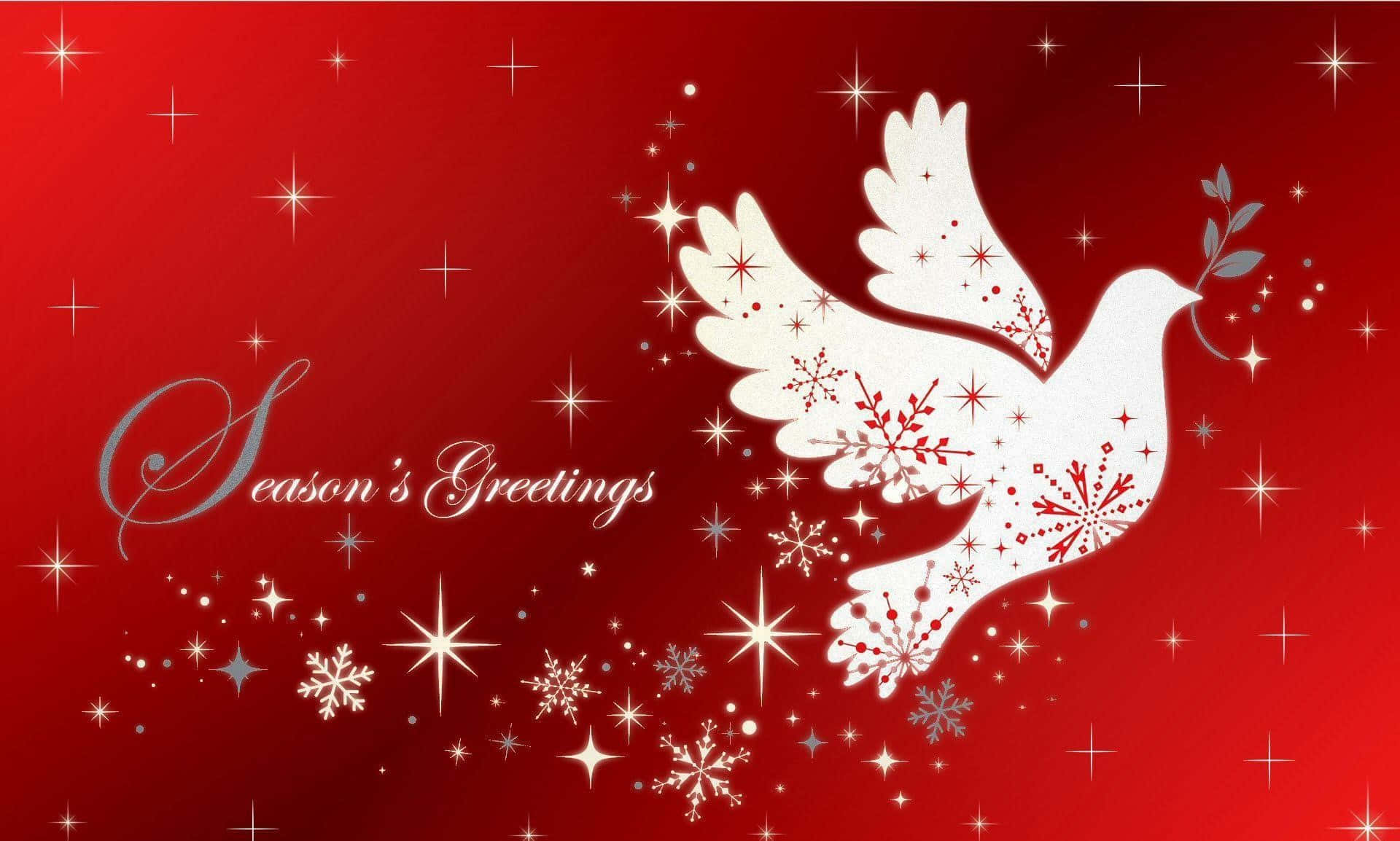 Warm Greetings Background with Fairy Lights