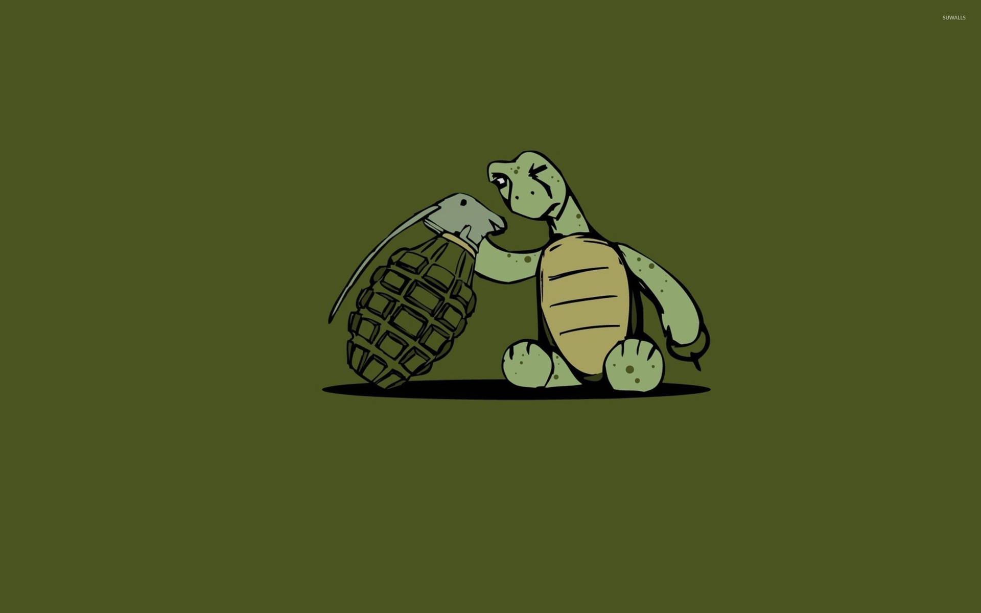 Grenade Cartoon Turtle Wallpaper